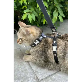 Kedi Gezdirme Tasması, Deri Kedi Gezdirme Tasması - NPC007