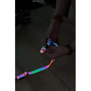 Kedi Reflektörlü Harness Göğüs Ve Gezdirme Seti - NPC007