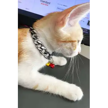 Rapçi Kedi Tasması, Zincir ve Zilli Kedi Tasması - NPC012