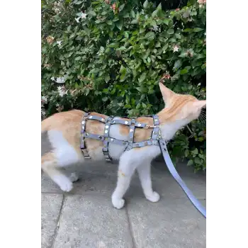 Renkli Reflektör Karanlıkta Parlayan Şık Kedi Harness, Kedi Yürüme Tasması, Kedi Güvenlik Tasması - NPC011