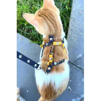 Sarı Lacivert Fanatik Kedi Tasması, Kedi Gezdirme Tasması, Kedi Göğüs Tasması - NPC003