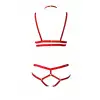 3 Parça Seksi Harness Sütyen Takım - APFT144