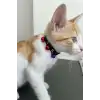 3 Zilli Kedi Tasması, Deri Kedi Tasması - NPC009