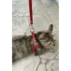 Deri Kedi Harness , Kedi Gezdirme Tasması - NPC005