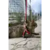 Deri Kedi Harness , Kedi Gezdirme Tasması - NPC005