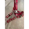 Deri Kedi Harness , Kedi Gezdirme Tasması - NPC005