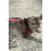 Deri Kedi Harness , Kedi Gezdirme Tasması - NPC005