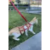 Full Body Kedi Harness, Kedi Gezdirme Tasması, Kedi Sokak Tasması - NPC011