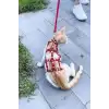 Full Body Kedi Harness, Kedi Gezdirme Tasması, Kedi Sokak Tasması - NPC011