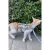 Karanlıkta Parlayan Reflektörlü Şık Kedi Harness, Kedi Yürüme Tasması, Kedi Güvenlik Tasması - NPC011