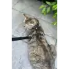 Kedi Gezdirme Tasması, Deri Kedi Gezdirme Tasması - NPC007