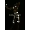 Parlak Jartiyer Takım Reflektörlü Harness Takım - APFT516