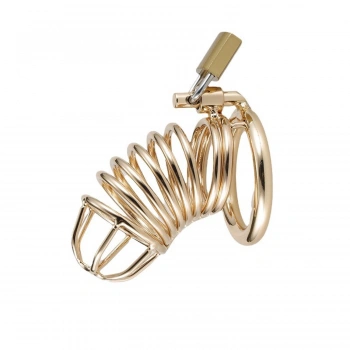 Gold Penis Kilidi 45mm