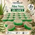 Internatural Aloe Vera Kabak Lifli Bitkisel Sabun 20li Paket (20 x 110 g)