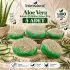 Internatural Aloe Vera Kabak Lifli Bitkisel Sabun 5li Paket (5 x 110 g)