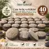 Internatural Ardıç Katranı Kabak Lifli Bitkisel Sabun 40lı Paket (40 x 110 g)