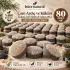 Internatural Ardıç Katranı Kabak Lifli Bitkisel Sabun 80li Paket (80 x 110 g)