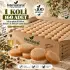 Internatural Bıttım Kabak Lifli Bitkisel Sabun 160lı Paket (160 x 110 g)