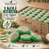 Internatural Çay Ağacı Kabak Lifli Bitkisel Sabun 160lı Paket (160 x 110 g)