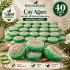 Internatural Çay Ağacı Kabak Lifli Bitkisel Sabun 40lı Paket (40 x 110 g)
