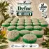 Internatural Defne Kabak Lifli Bitkisel Sabun 40lı Paket (40 x 110 g)