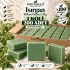 Internatural Isırgan Bitkisel Sabun 120 g - 200 Adet (1 Koli)