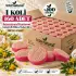 Internatural Kantaron Kabak Lifli Bitkisel Sabun 160lı Paket (160 x 110 g)