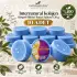 Internatural Kolajen Süngerli Bitkisel Banyo Sabunu 10lu Paket (10 x 120 g)