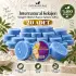 Internatural Kolajen Süngerli Bitkisel Banyo Sabunu 20li Paket (20 x 120 g)