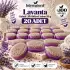 Internatural Lavanta Kabak Lifli Bitkisel Sabun 20li Paket (20 x 110 g)