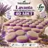 Internatural Lavanta Kabak Lifli Bitkisel Sabun 40lı Paket (40 x 110 g)