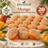 Internatural Mango Kabak Lifli Bitkisel Sabun 20li Paket (20 x 110 g)
