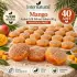 Internatural Mango Kabak Lifli Bitkisel Sabun 40lı Paket (40 x 110 g)