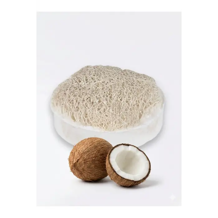 Internatural Hindistan Cevizi Kabak Lifli Bitkisel Sabun 110 g
