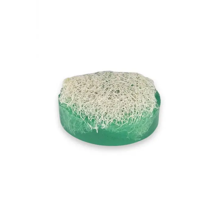 Internatural Aloe Vera Kabak Lifli Bitkisel Sabun 110 g