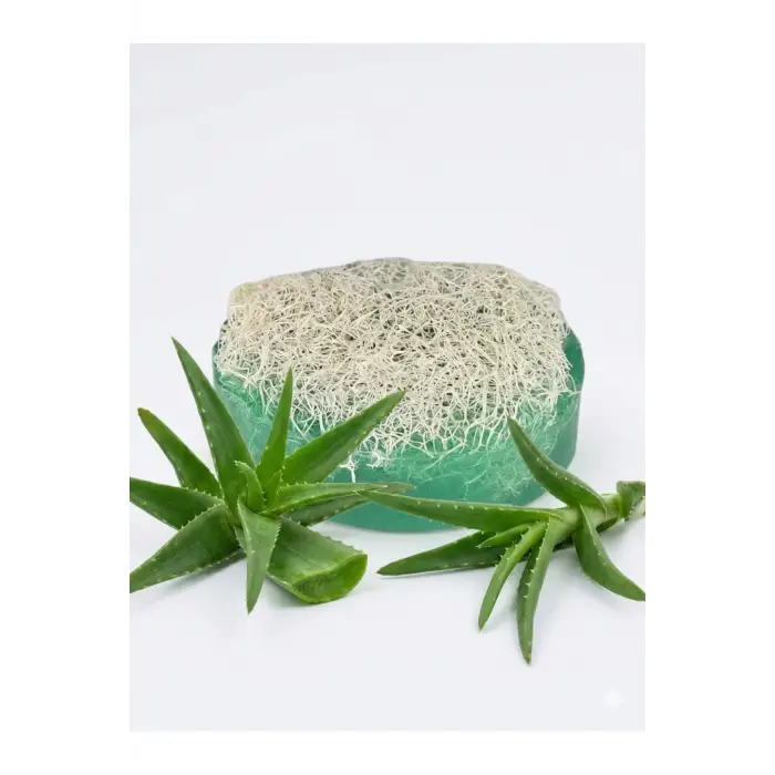 Internatural Aloe Vera Kabak Lifli Bitkisel Sabun 110 g