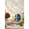 Internatural Hindistan Cevizi Süngerli Bitkisel Banyo Sabunu 120 g