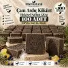 Internatural Çam Ardıç Kükürt Bitkisel Sabun 120 g - 100 Adet