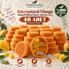 Internatural Mango Süngerli Bitkisel Sabun 40lı Paket (40 x 120 g)
