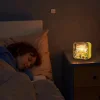 3D Puzzle Ahşap Minyatür Maket Kiti DIY Kendin Yap Gece Lambası Ayçiçeği 12 Parça