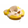 Bebek Yüzme Simidi 2si 1 Arada- İç Haznesi Çıkabilir, Güvenli ,Yeni Model- Ayıcık Desenli Sarı