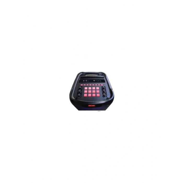 Leader LP-8100 8 Incx2 Rgb Taşınabilir Ses Sistemi
