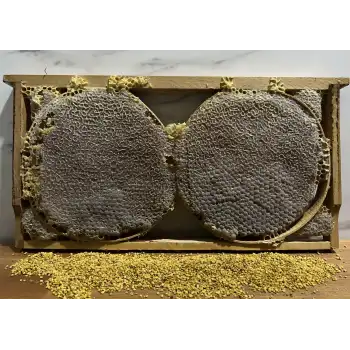 Kars Karakovan Petek Balı 3KG