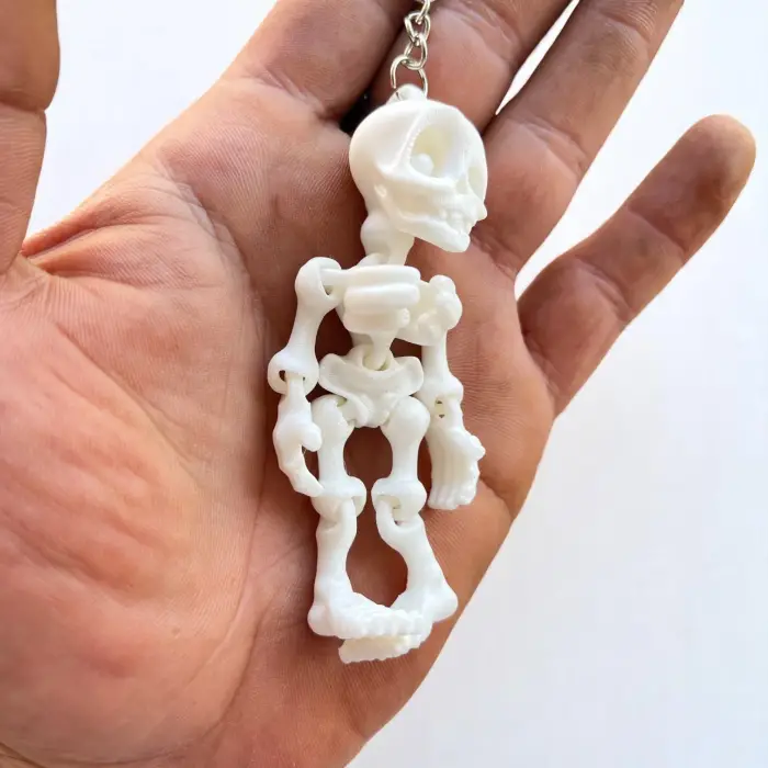 İskelet Plastik Anahtarlık Dikiz Aynası ve Kasa Süsü PLA 3D Baskı