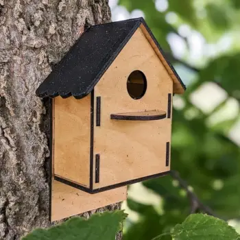 Boyanabilir Ham MDF Ahşap Kuş Evi Maketi (3mm)
