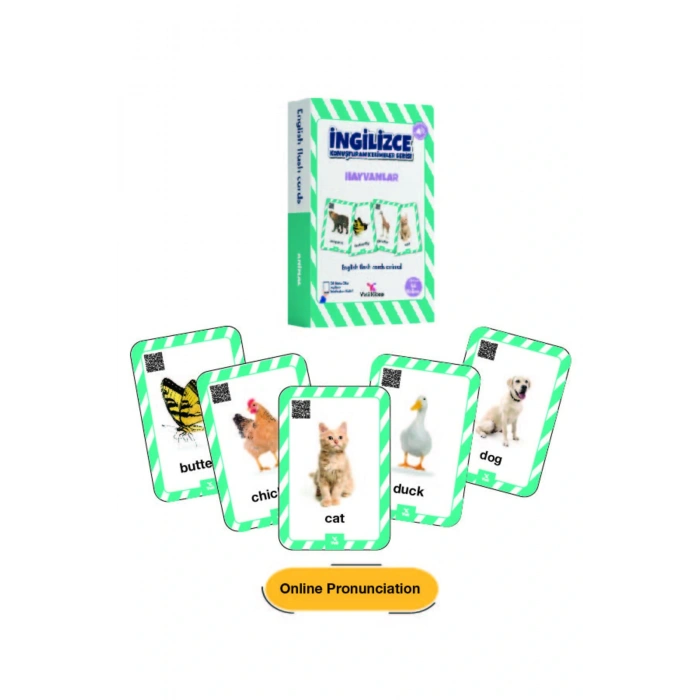 4-9 Yaş İngilizce Konuşturan Kelime Kartları English Flash Cards/ Okul Öncesi ve İlkokul /376 Kelime