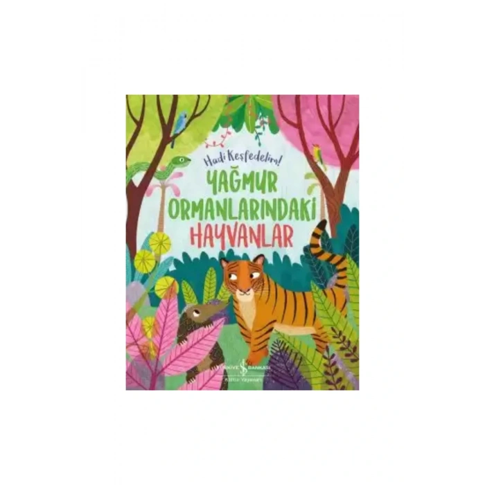 Hadi Keşfedelim Serisi 6-10 Yaş - 6 Kitap - İlkokul Fen ve Keşif Kitapları + Tablet Standı