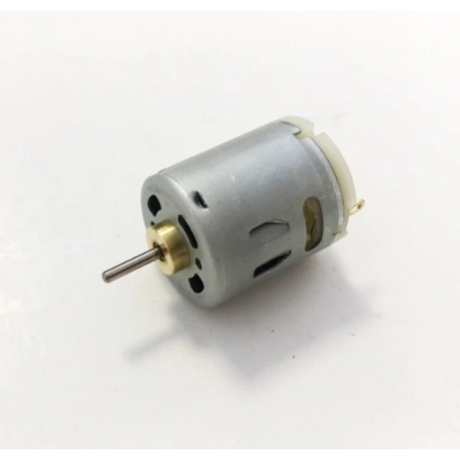 12V Johnson Motor