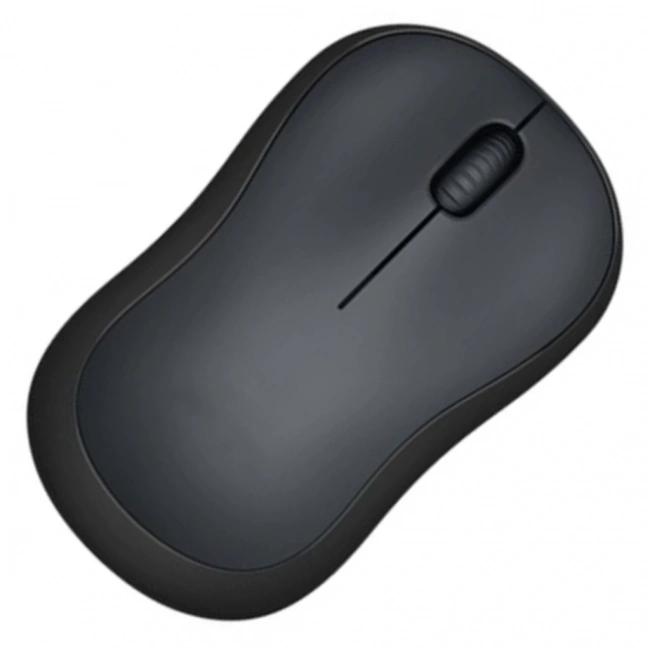 2.4GHz USB Alıcılı Wireless Mouse Kablosuz Bilgisayar Faresi Siyah DM-12