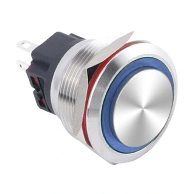 WD25B-G1Z-E 25mm Çıkık Anahtarlı Işıklı Metal Buton - Mavi